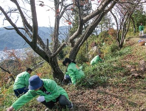 植林活動の様子