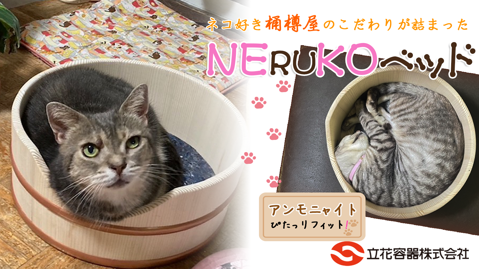 『NERUKOベッド』マクアケプロジェクトをスタートしました