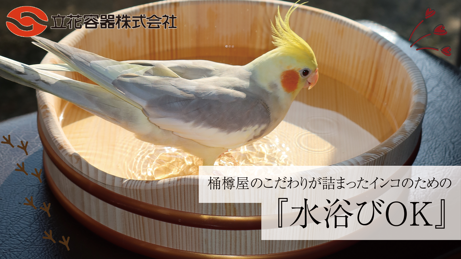 『水浴びOK』マクアケプロジェクトをスタートしました